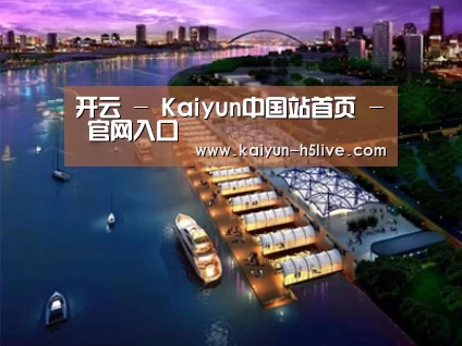 案例展示八